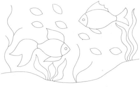 Поэтапное рисование рыбки в средней группе