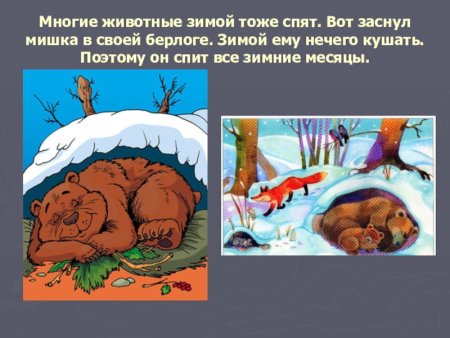 Рисование медведь в берлоге