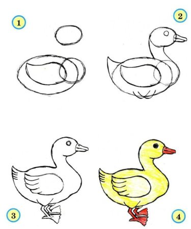 Иллюстрация серая шейка нарисовать