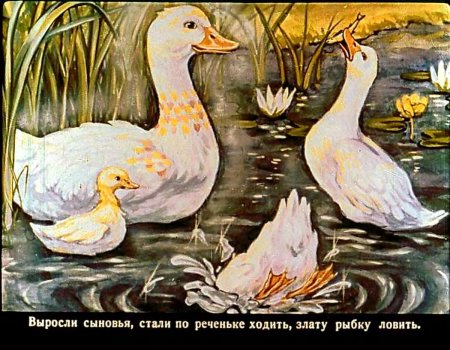 Раскраска утки на озере