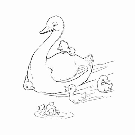 Михаил пришвин хромка