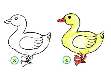 Поэтапное рисование уточки для детей