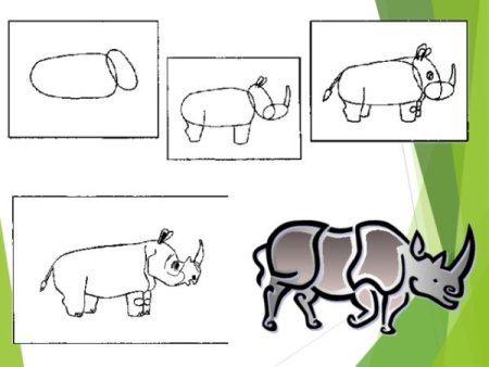 Носорог рисунок для детей пошагово