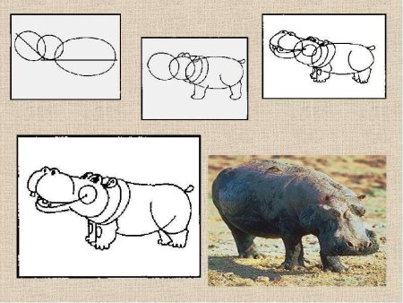 Носорог рисунок для детей поэтапно (48 фото)