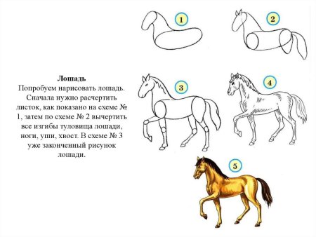 Поэтапный рисунок лошади для детей