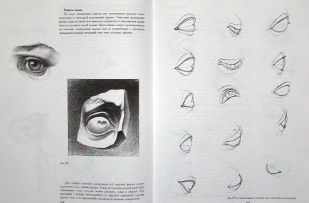 Основы академического рисунка Николай ли глаза