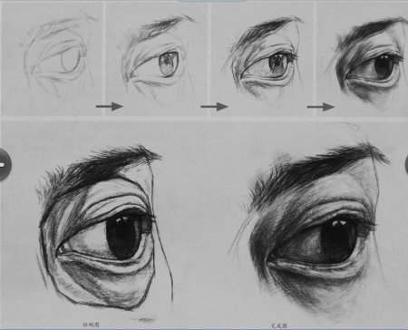 Анатомия глаз для рисования