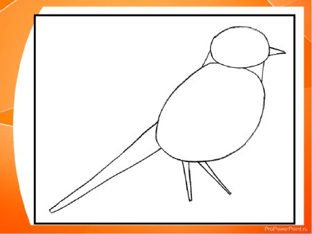 Синичка поэтапное рисование для детей