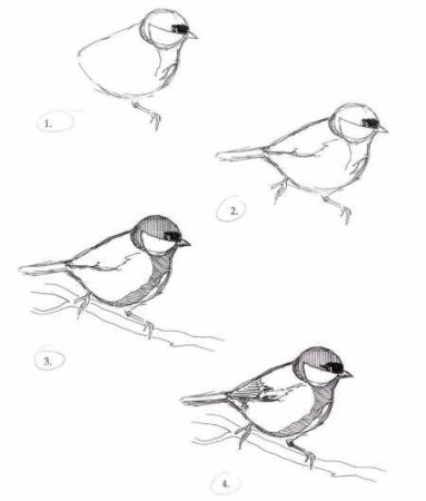 Схема рисования птицы