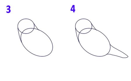 Красивая птичка рисование в средней группе