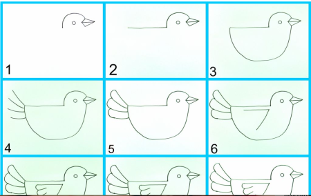 Поэтапное рисование птицы на ветке