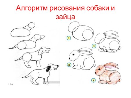 Рисунок собаки пошагово