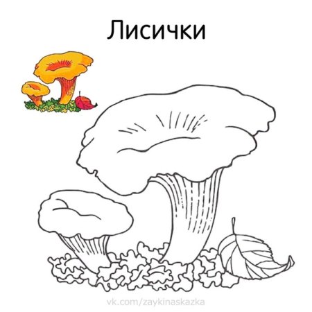 Гриб Лисичка шаблон