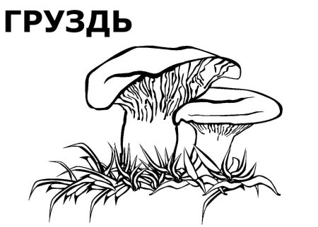 Грибочки из фетра выкройка