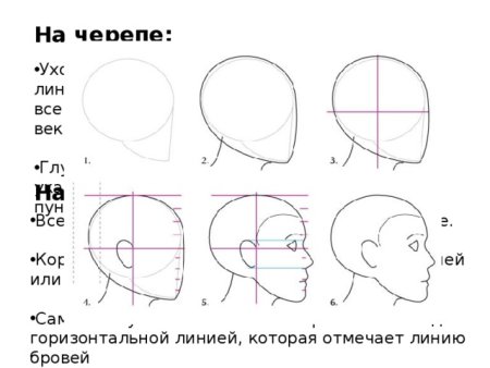 Схема рисования портрета для детей