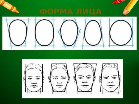 Пропорции лица изо