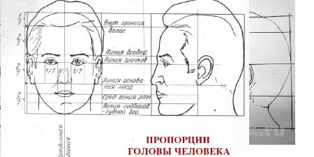 Построение портрета сбоку