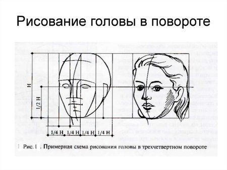 Портрет (конструкция головы человека. Анфас, профиль)