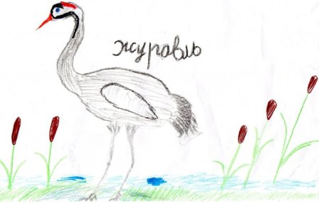 Как нарисовать журавля