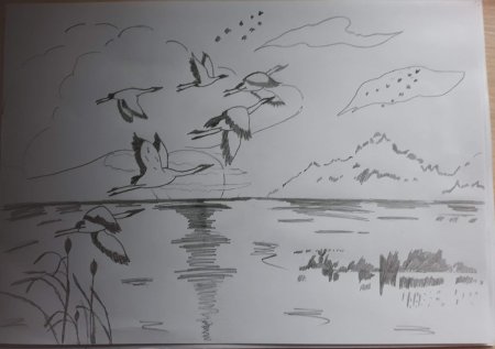 Рисуем птицы улетают