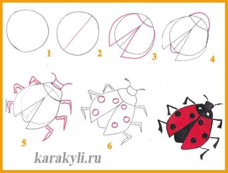 Поэтапное рисование насекомых для дошкольников