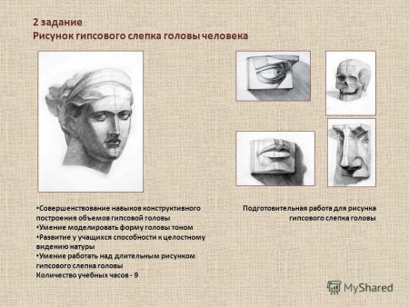 Рисунок гипсового слепка античной головы