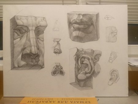 Нос Давида анфас