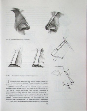 Готфрид Баммес анатомия носа