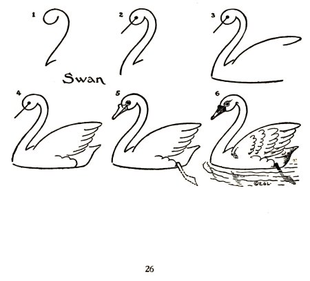 Схема рисования птицы
