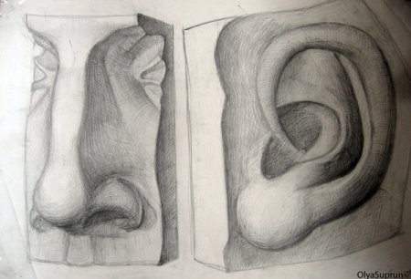 Гипсовый слепок уха Давида построение