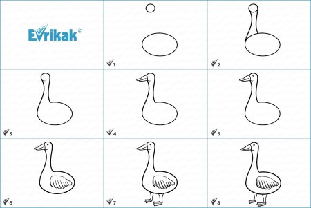 Как рисовать утку сбоку