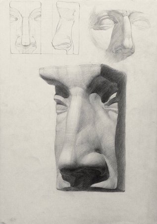 Нос Давида гипс построение