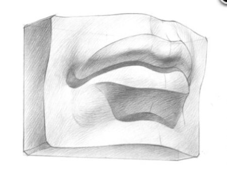 Гипсовые губы Давида построение