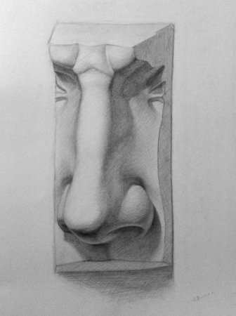 Нос Давида Академический рисунок