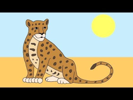Ягуар рисунок поэтапно