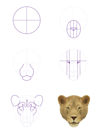 Голова льва рисунок для детей поэтапно (53 фото)