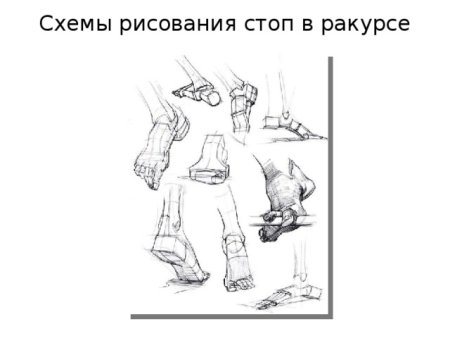 Стопа схема рисунок