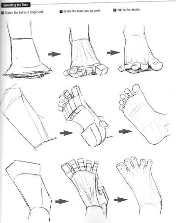 Построение стопы человека поэтапно
