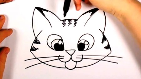 Морда кота поэтапно