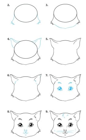 Референс головы кота спереди
