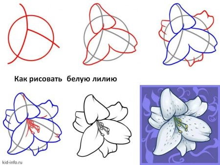 Поэтапное рисование подснежника