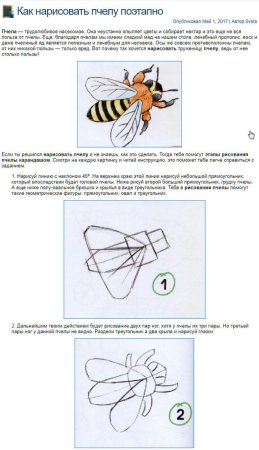 Поэтапное рисование насекомых