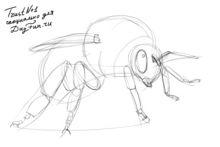 Нарисовать пчелу карандашом