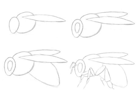 Схемы рисования насекомых