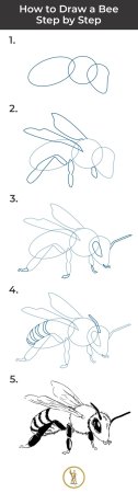 Шмель карандашом