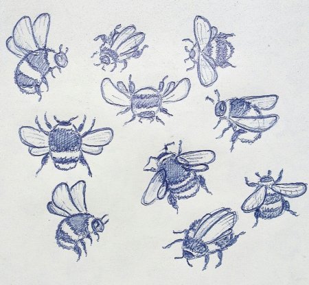 Нарисовать комара пошагово