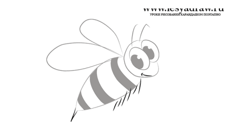 Рисование шмеля поэтапно