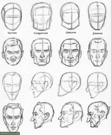 Эндрю Лумис построение головы