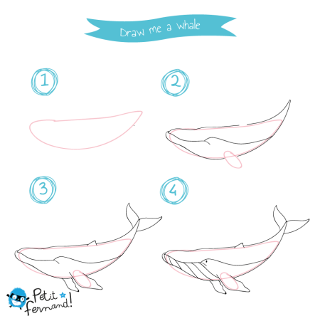 Кит поэтапное рисование