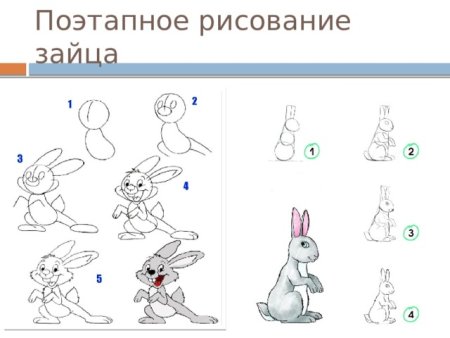 Заяц рисунок карандашом для детей